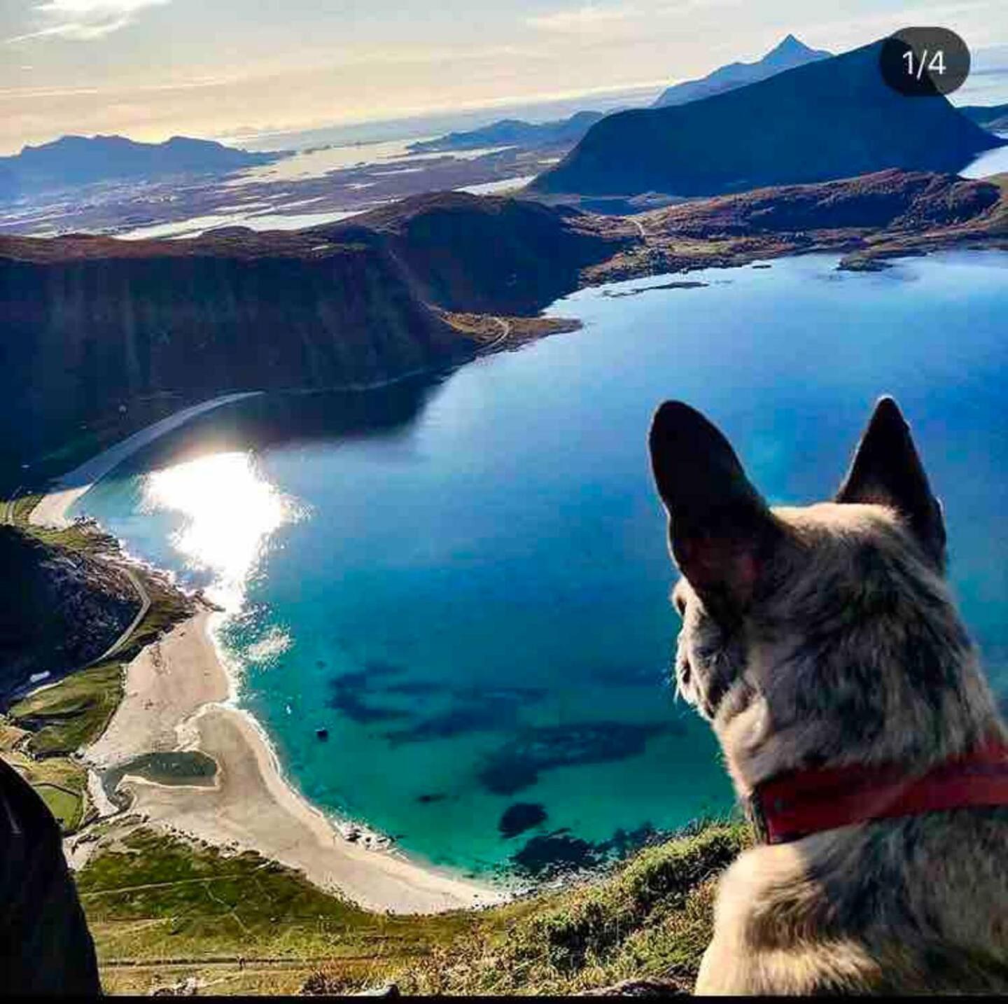 Lofoten Seaview Ballstad Luaran gambar