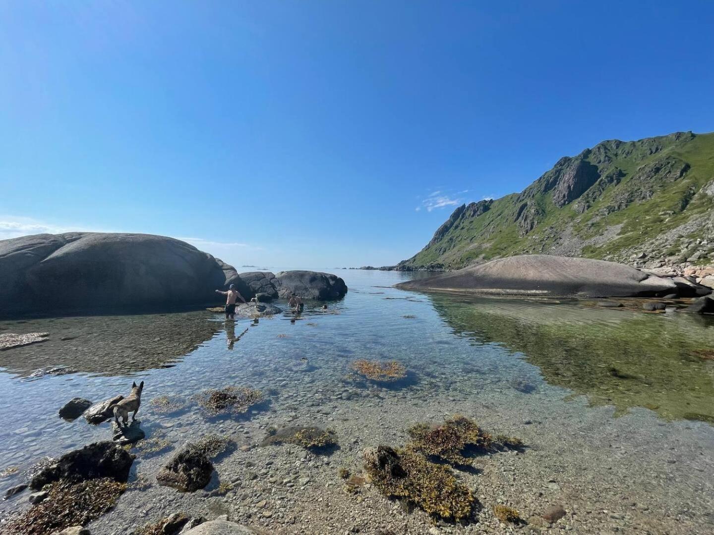 Lofoten Seaview Ballstad Luaran gambar